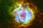 NGC2244 Rosettennebel