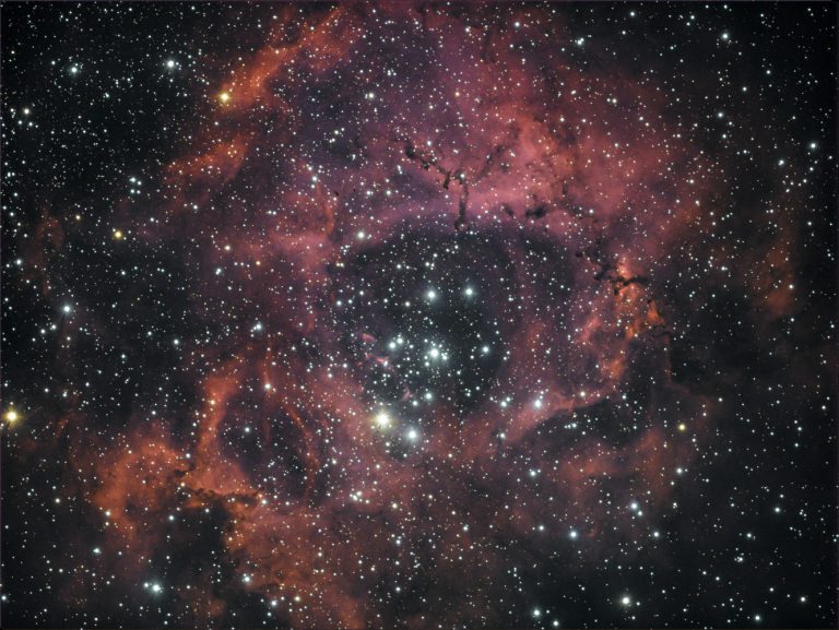 NGC2244 Rosettennebel