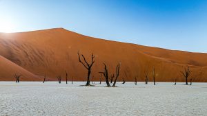 Namibia 2019