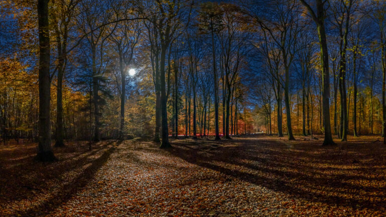 Vollmond im November