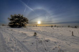 Sonne mit Halo in der Lüneburger Heide