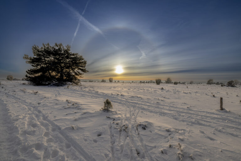 Sonne mit Halo in der Lüneburger Heide